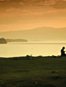 Winter Midweek 4 Nights at Golden's Cove