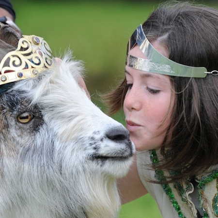 Puck Fair Queenkissinggoat 1 (1)